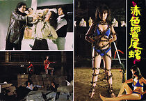 Watch Chi se Xiang Wei she