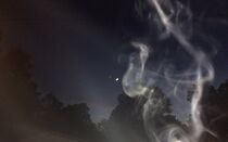 Watch The Perfect Night (Short 2015)