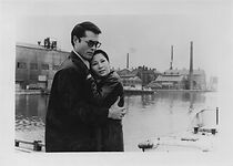 Watch Joshi daisei: Seiai-zu