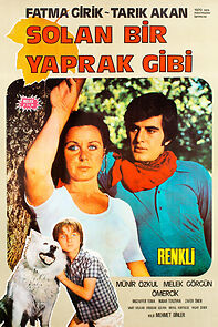 Watch Solan Bir Yaprak Gibi