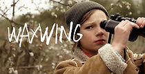 Watch Waxwing (Short 2013)