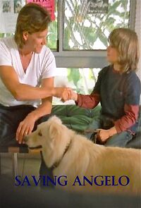 Watch Saving Angelo (Short 2007)
