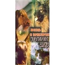 Watch Zhizn i priklyucheniya chetyrekh druzei 5. Kot Semafor 6. Neznakomtsy