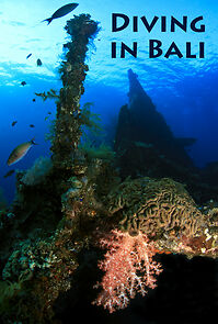 Watch Diving in Bali