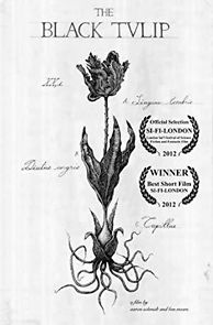 Watch The Black Tulip