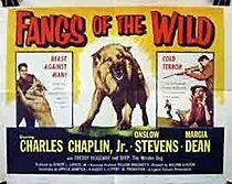 Watch Fangs of the Wild